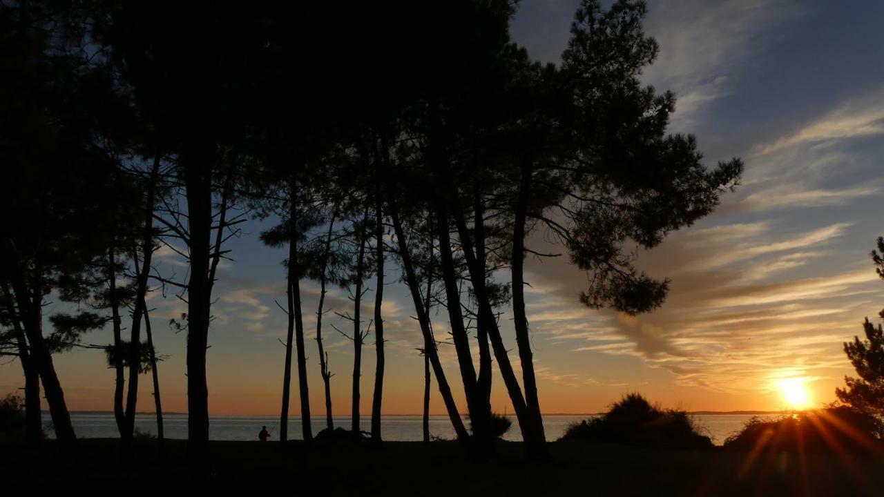 Bleuvelours Bed & Breakfast Andernos-les-Bains Bagian luar foto